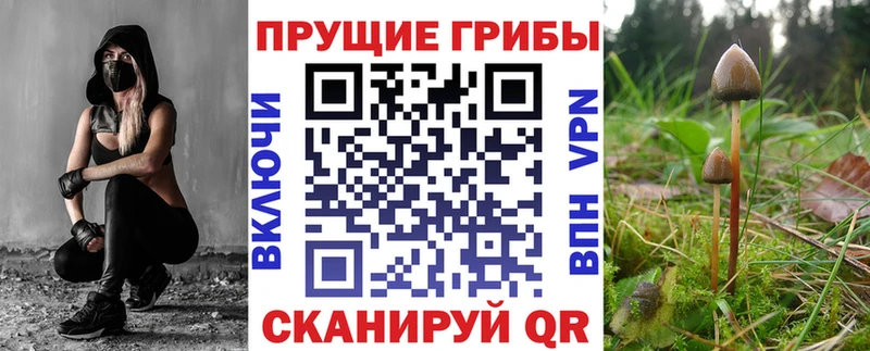 Купить где  Строитель  Галлюциногенные грибы MAGIC MUSHROOMS 