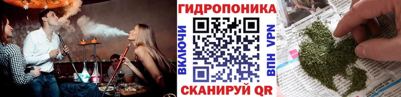 Купить  Строитель  Шишки марихуана OG Kush 